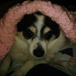 Meet your Posher, Barbara